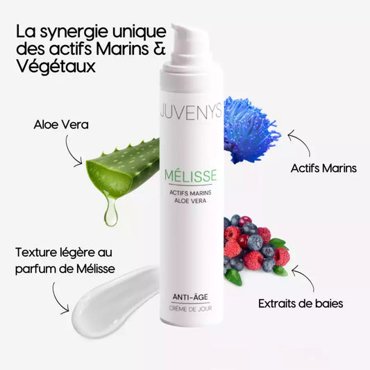 Crème de Jour - Hydratante & Lissante